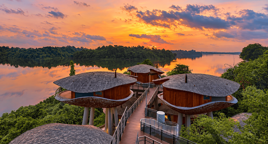 Mandai Rainforest Resort by Banyan Tree, Singapura, menampilkan akomodasi bergaya treehouse yang dikelilingi hutan hijau dengan suasana alami dan menenangkan.