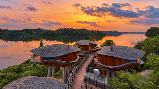 Mandai Rainforest Resort by Banyan Tree, Singapura, menampilkan akomodasi bergaya treehouse yang dikelilingi hutan hijau dengan suasana alami dan menenangkan.