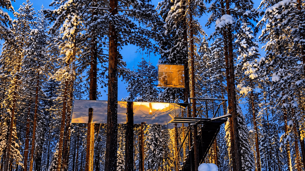 Treehotel di Harads, Swedia, dengan Mirrorcube berbentuk kubus bercermin yang menyatu dengan lingkungan hutan di sekitarnya.